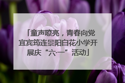 童声嘹亮，青春向党 宜宾筠连景阳白花小学开展庆“六·一”活动