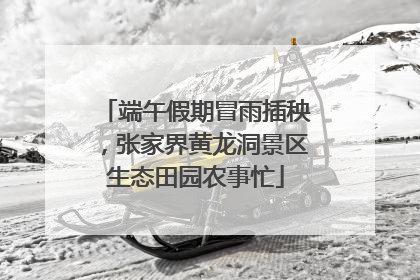 端午假期冒雨插秧，张家界黄龙洞景区生态田园农事忙