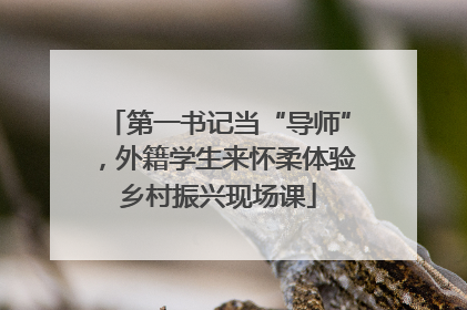 第一书记当“导师”，外籍学生来怀柔体验乡村振兴现场课