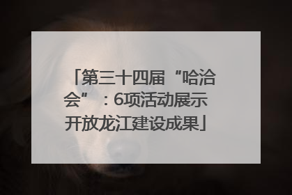 第三十四届“哈洽会”：6项活动展示开放龙江建设成果