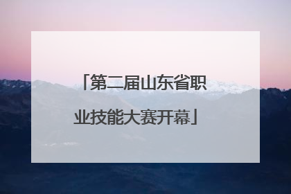 第二届山东省职业技能大赛开幕