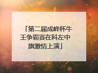 第二届成峰杯牛王争霸赛在科左中旗激情上演