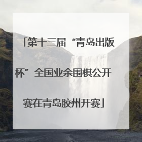第十三届“青岛出版杯”全国业余围棋公开赛在青岛胶州开赛