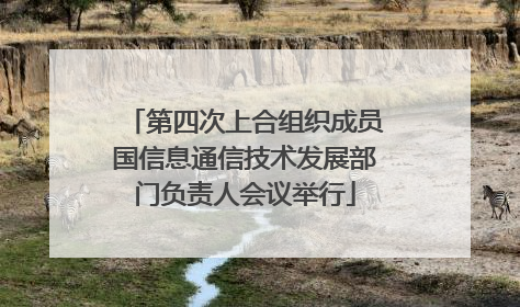 第四次上合组织成员国信息通信技术发展部门负责人会议举行
