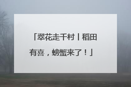 翠花走千村丨稻田有喜，螃蟹来了！