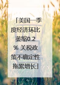 美国一季度经济环比萎缩0.2% 关税政策不确定性拖累增长
