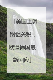 美国上调钢铝关税，欧盟德国最新回应