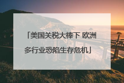 美国关税大棒下 欧洲多行业恐陷生存危机