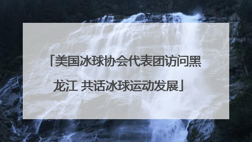 美国冰球协会代表团访问黑龙江 共话冰球运动发展