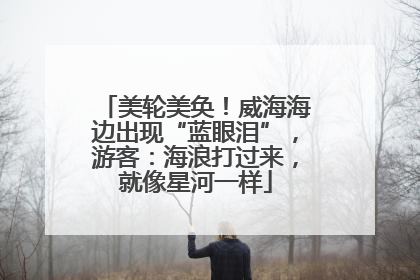 美轮美奂！威海海边出现“蓝眼泪”，游客：海浪打过来，就像星河一样