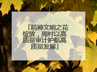 精神文明之花绽放，周村以高质量审计护航高质量发展