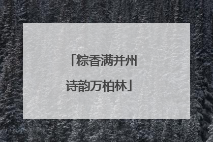 粽香满并州 诗韵万柏林