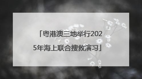 粤港澳三地举行2025年海上联合搜救演习