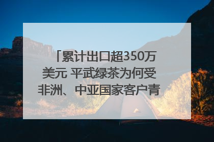 累计出口超350万美元 平武绿茶为何受非洲、中亚国家客户青睐？｜发布会观察
