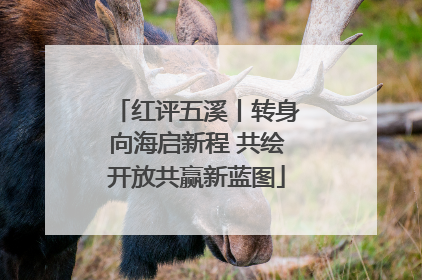 红评五溪丨转身向海启新程 共绘开放共赢新蓝图