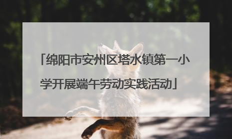 绵阳市安州区塔水镇第一小学开展端午劳动实践活动