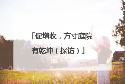 促增收，方寸庭院有乾坤（探访）