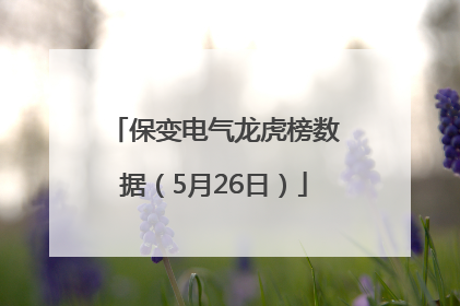 保变电气龙虎榜数据（5月26日）