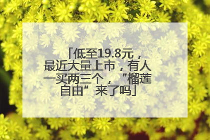 低至19.8元，最近大量上市，有人一买两三个，“榴莲自由”来了吗