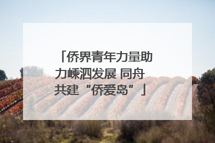 侨界青年力量助力嵊泗发展 同舟共建“侨爱岛”