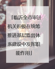 临沂全市审计机关积极在统筹推进基层监督体系建设中发挥职能作用