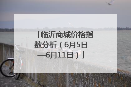 临沂商城价格指数分析（6月5日—6月11日）