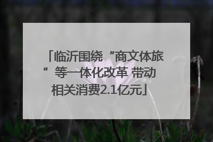 临沂围绕“商文体旅”等一体化改革 带动相关消费2.1亿元