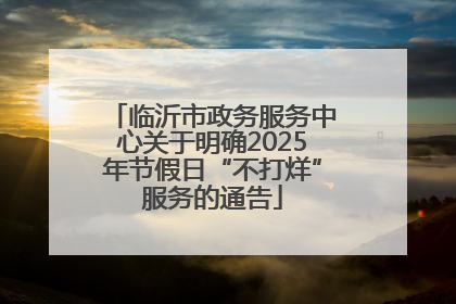 临沂市政务服务中心关于明确2025年节假日“不打烊”服务的通告