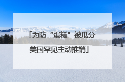 为防“蛋糕”被瓜分 美国罕见主动推销
