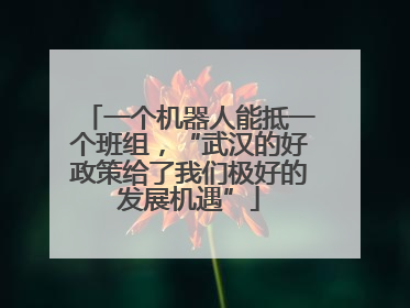 一个机器人能抵一个班组，“武汉的好政策给了我们极好的发展机遇”