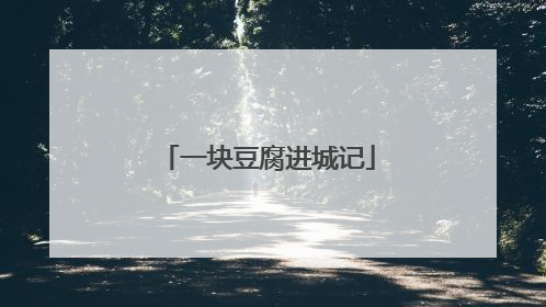 一块豆腐进城记