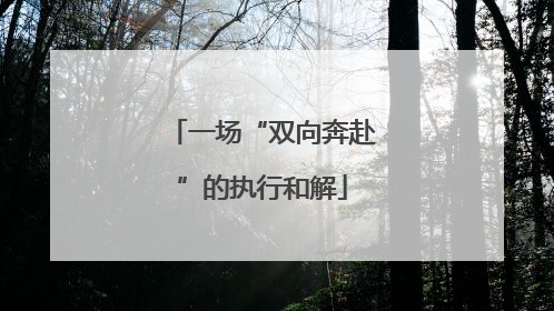 一场“双向奔赴”的执行和解
