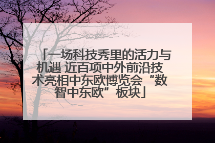 一场科技秀里的活力与机遇 近百项中外前沿技术亮相中东欧博览会“数智中东欧”板块