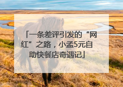 一条差评引发的“网红”之路，小孟5元自助快餐店奇遇记