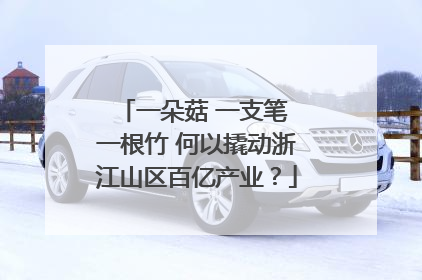 一朵菇 一支笔 一根竹 何以撬动浙江山区百亿产业？
