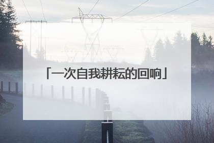 一次自我耕耘的回响