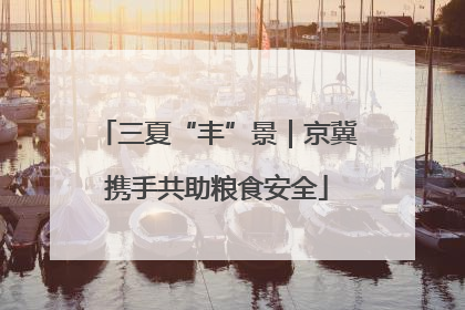 三夏“丰”景｜京冀携手共助粮食安全
