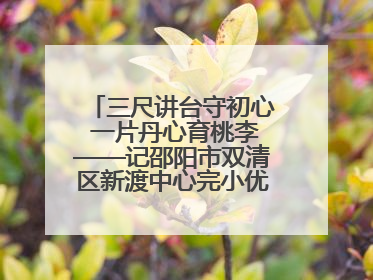 三尺讲台守初心 一片丹心育桃李——记邵阳市双清区新渡中心完小优秀教师姚丹