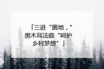 三进“菌地，”黑木耳法庭“呵护乡村梦想”