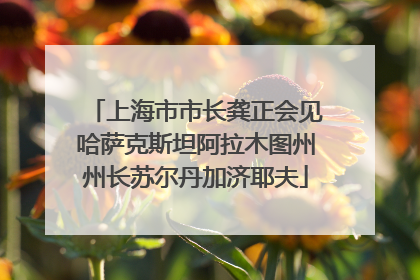 上海市市长龚正会见哈萨克斯坦阿拉木图州州长苏尔丹加济耶夫