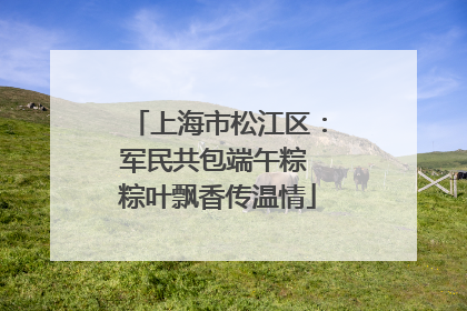 上海市松江区：军民共包端午粽 粽叶飘香传温情