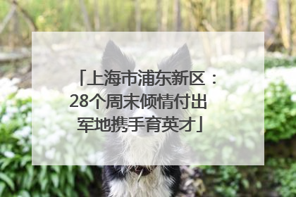 上海市浦东新区：28个周末倾情付出 军地携手育英才