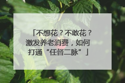 不想花？不敢花？激发养老消费，如何打通“任督二脉”