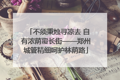 不须秉烛寻凉去 自有浓荫覆长街——郑州城管精细呵护林荫路