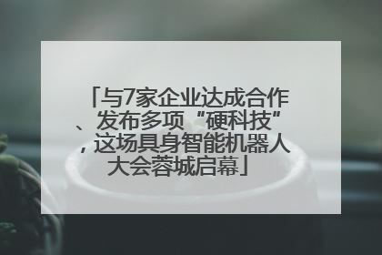 与7家企业达成合作、发布多项“硬科技”，这场具身智能机器人大会蓉城启幕