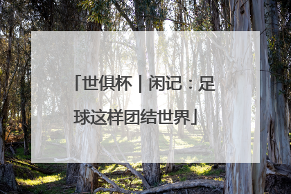 世俱杯｜闲记：足球这样团结世界