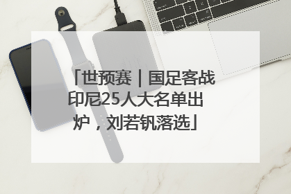 世预赛｜国足客战印尼25人大名单出炉，刘若钒落选