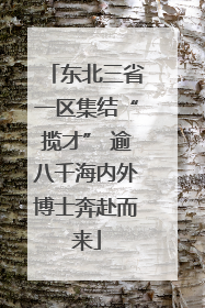 东北三省一区集结“揽才” 逾八千海内外博士奔赴而来