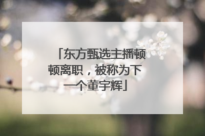 东方甄选主播顿顿离职，被称为下一个董宇辉