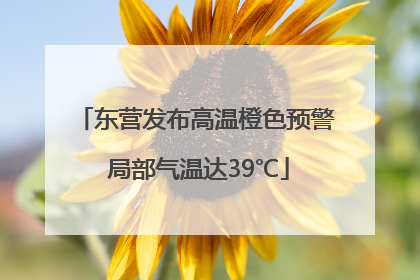 东营发布高温橙色预警 局部气温达39℃